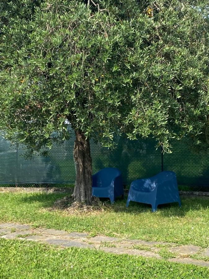 Casa Marcobando Villa Lucca Eksteriør billede