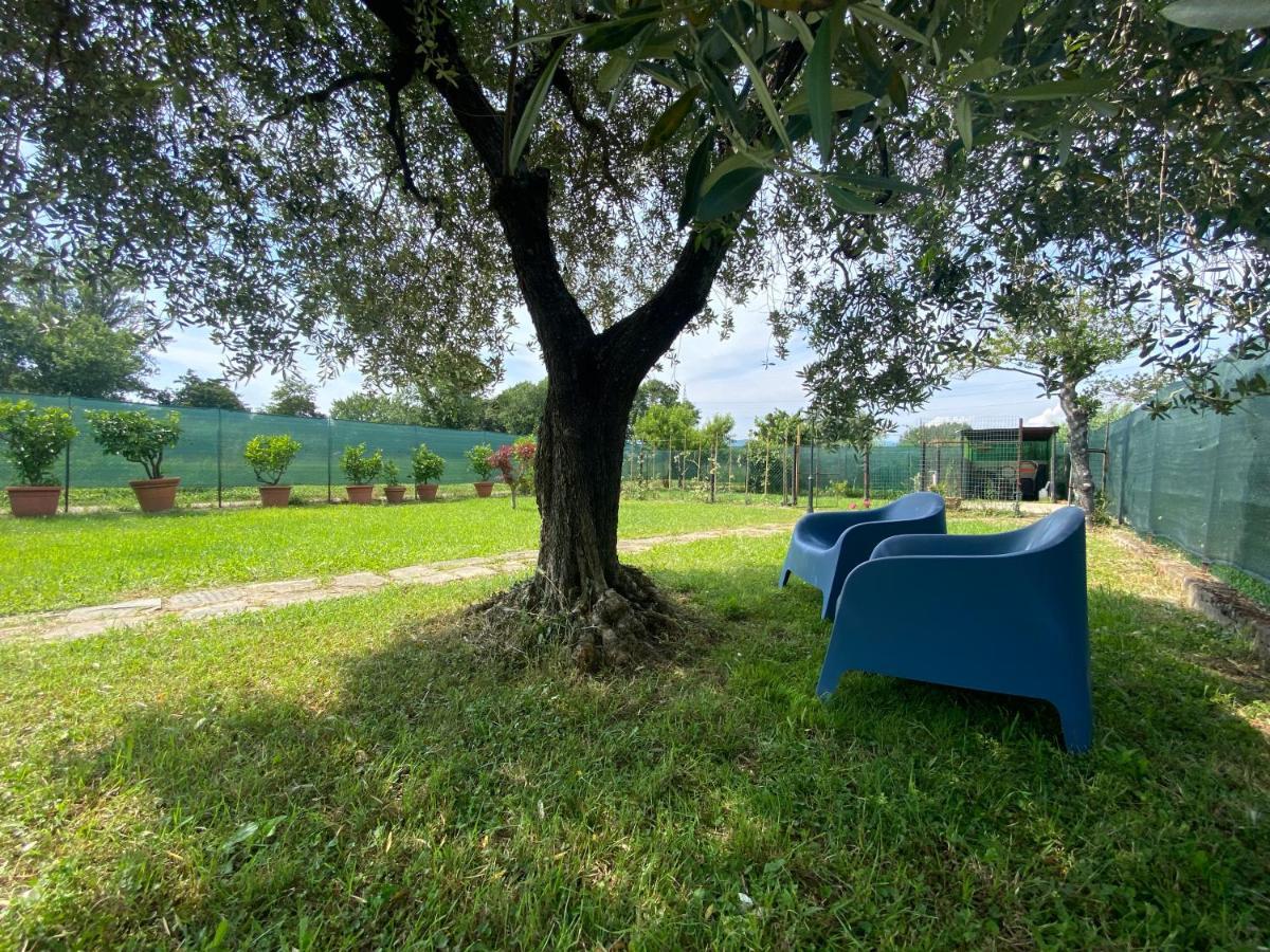 Casa Marcobando Villa Lucca Eksteriør billede