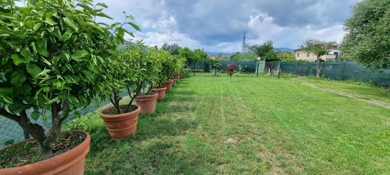 Casa Marcobando Villa Lucca Eksteriør billede